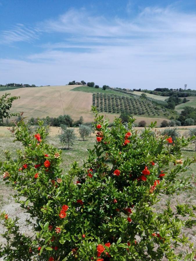Il Giardino Nella Valle Belvedere Ostrense Zewnętrze zdjęcie