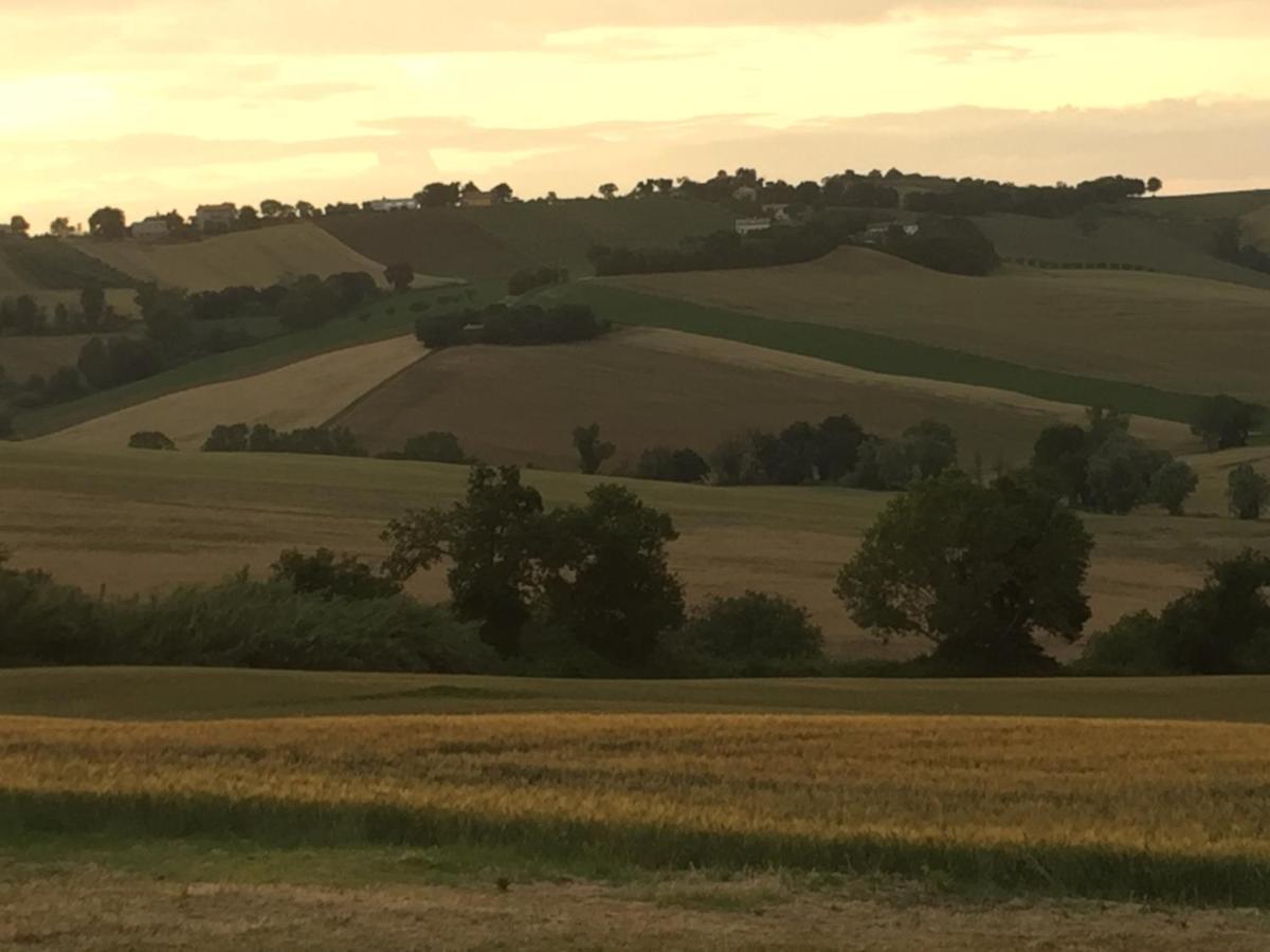 Il Giardino Nella Valle Belvedere Ostrense Zewnętrze zdjęcie