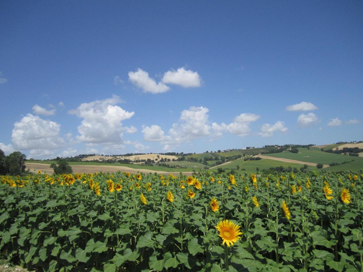 Il Giardino Nella Valle Belvedere Ostrense Zewnętrze zdjęcie