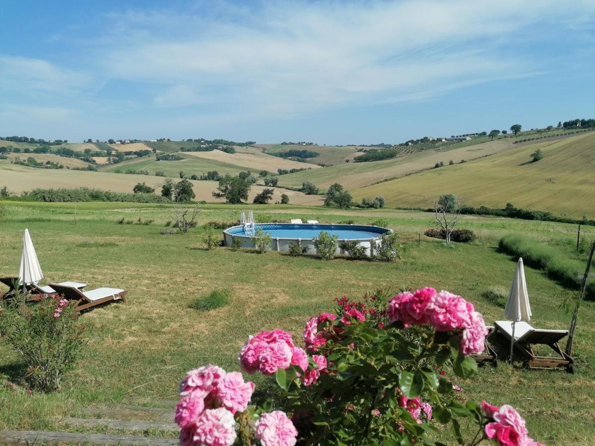 Il Giardino Nella Valle Belvedere Ostrense Zewnętrze zdjęcie