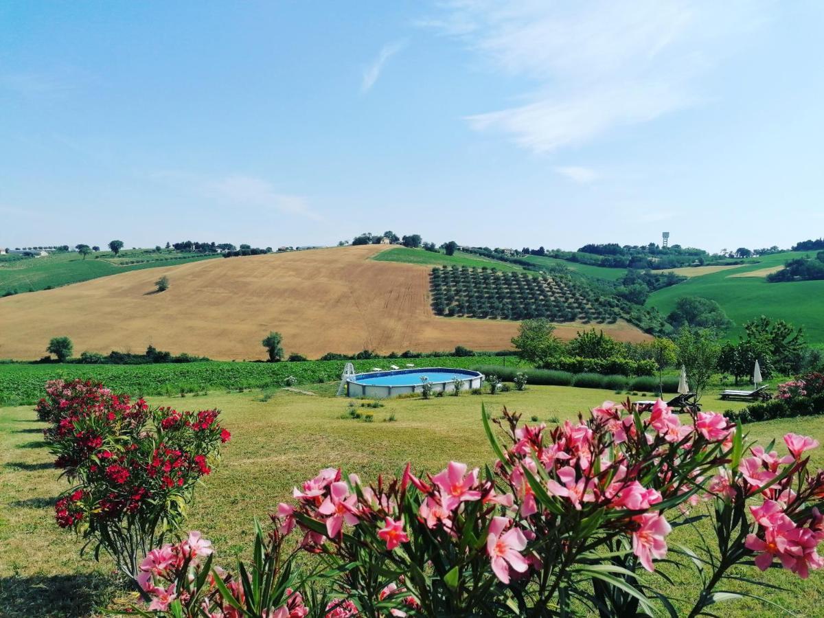 Il Giardino Nella Valle Belvedere Ostrense Zewnętrze zdjęcie