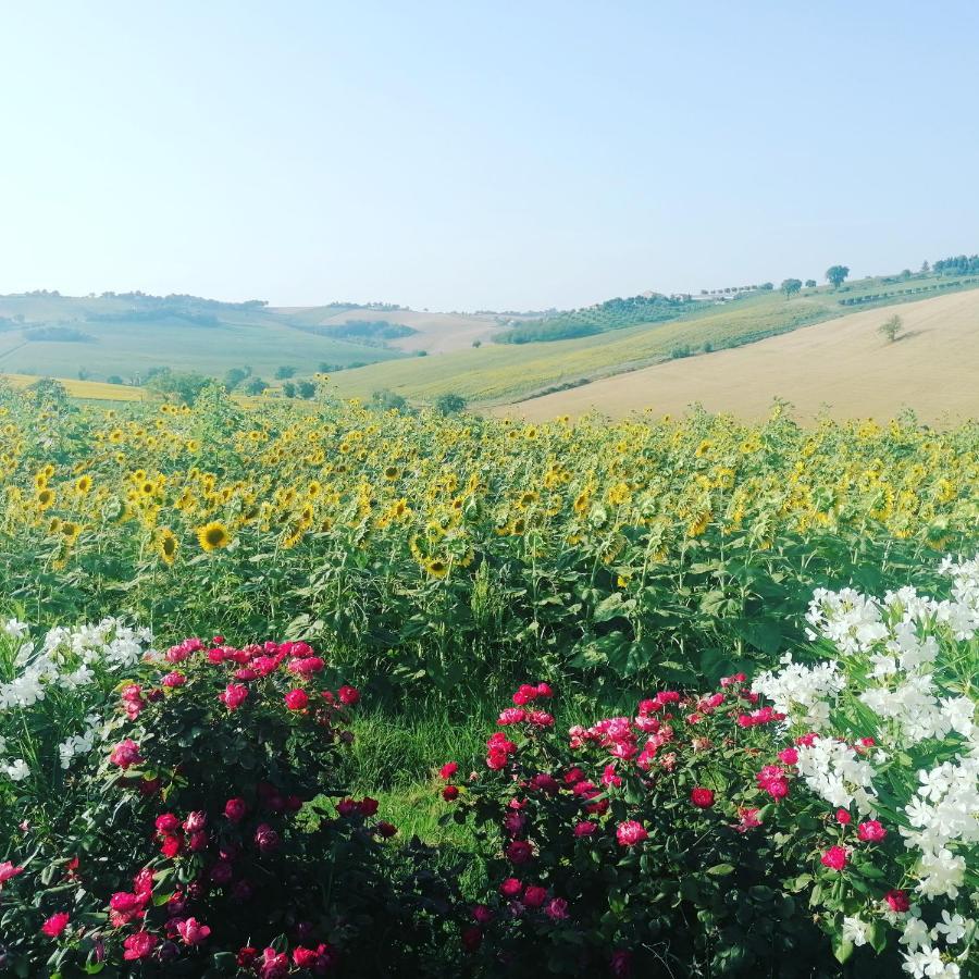 Il Giardino Nella Valle Belvedere Ostrense Zewnętrze zdjęcie