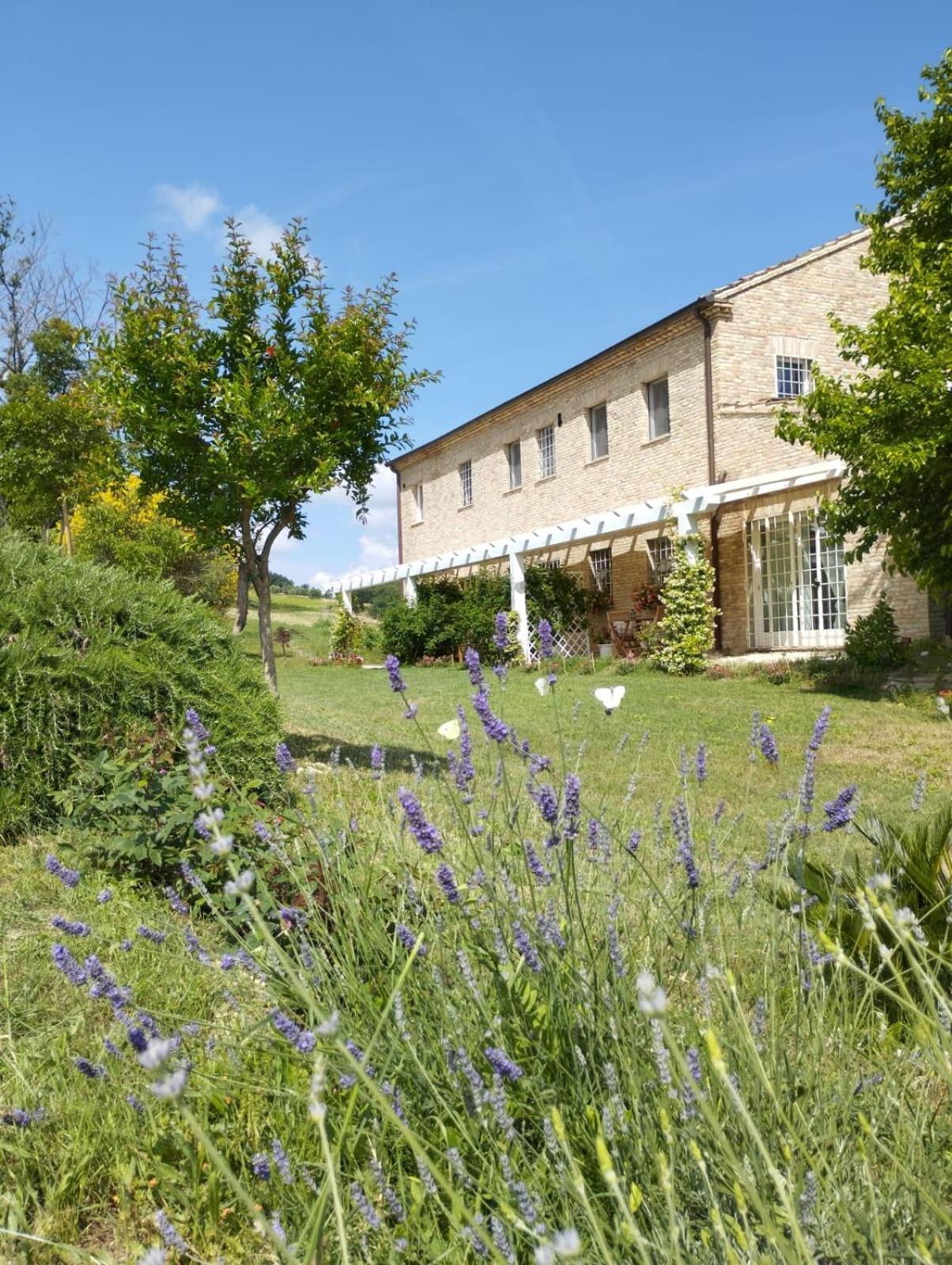 Il Giardino Nella Valle Belvedere Ostrense Pokój zdjęcie