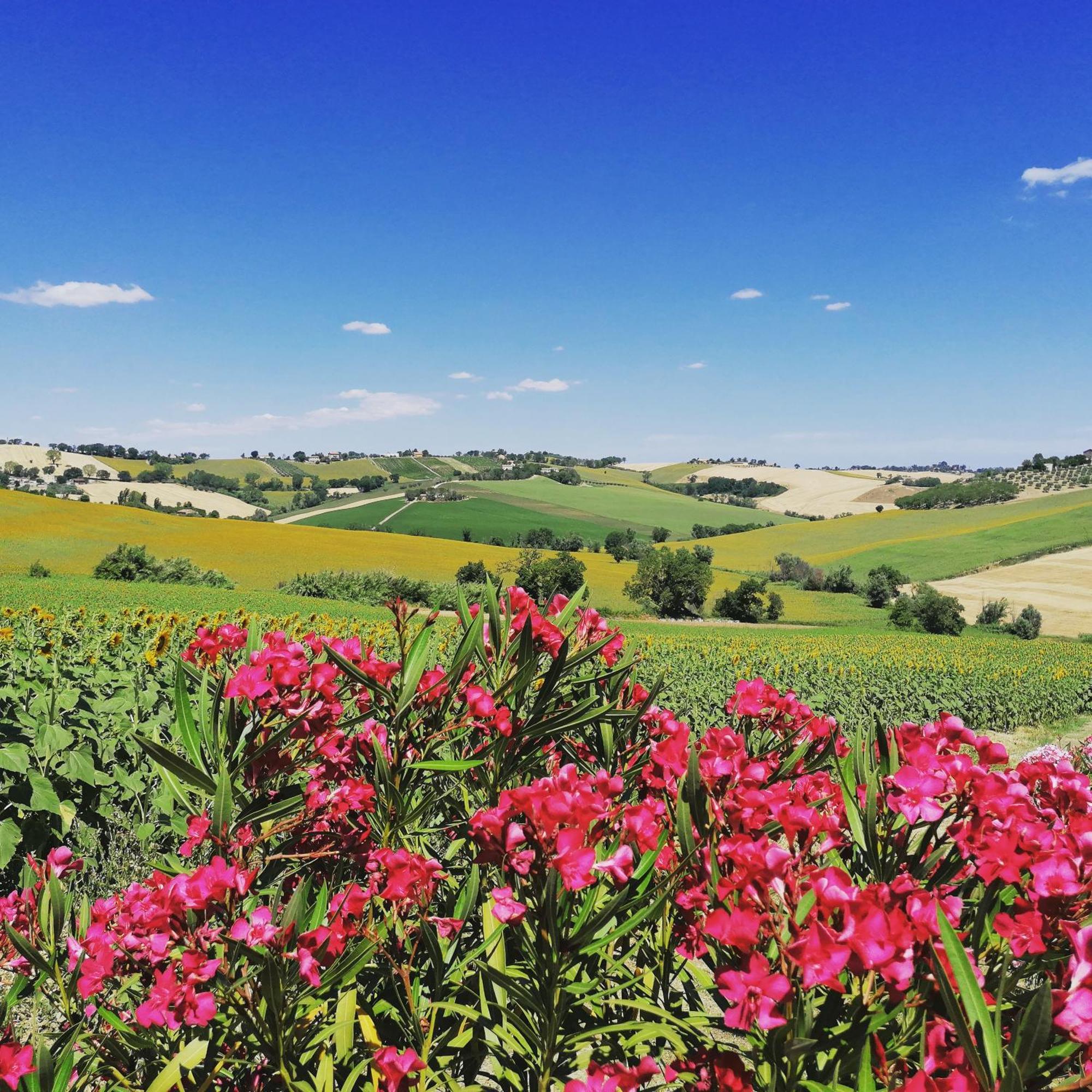 Il Giardino Nella Valle Belvedere Ostrense Zewnętrze zdjęcie