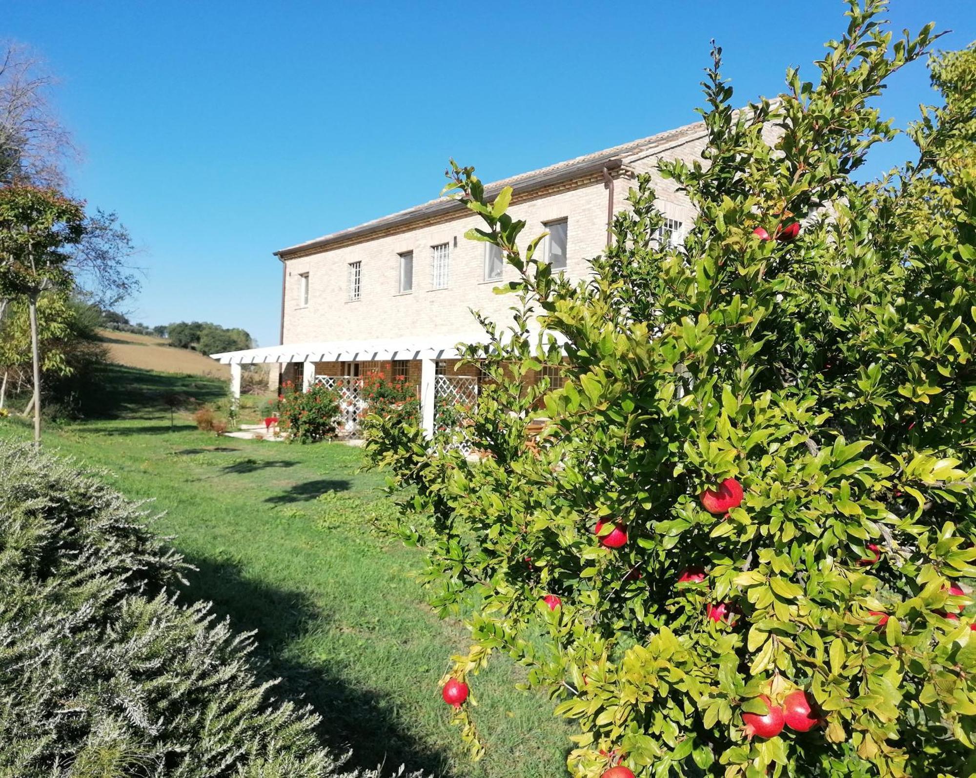 Il Giardino Nella Valle Belvedere Ostrense Zewnętrze zdjęcie