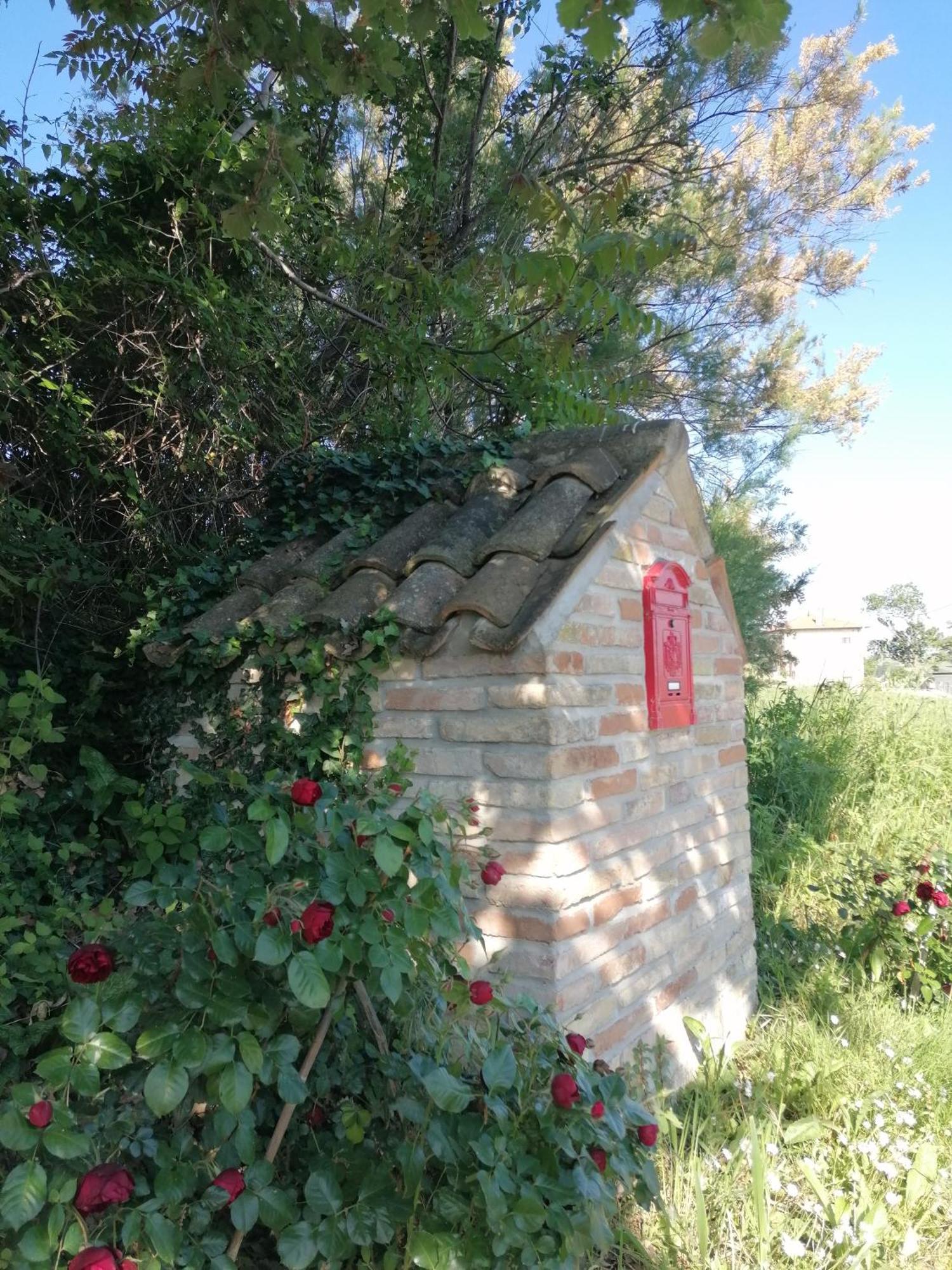 Il Giardino Nella Valle Belvedere Ostrense Zewnętrze zdjęcie