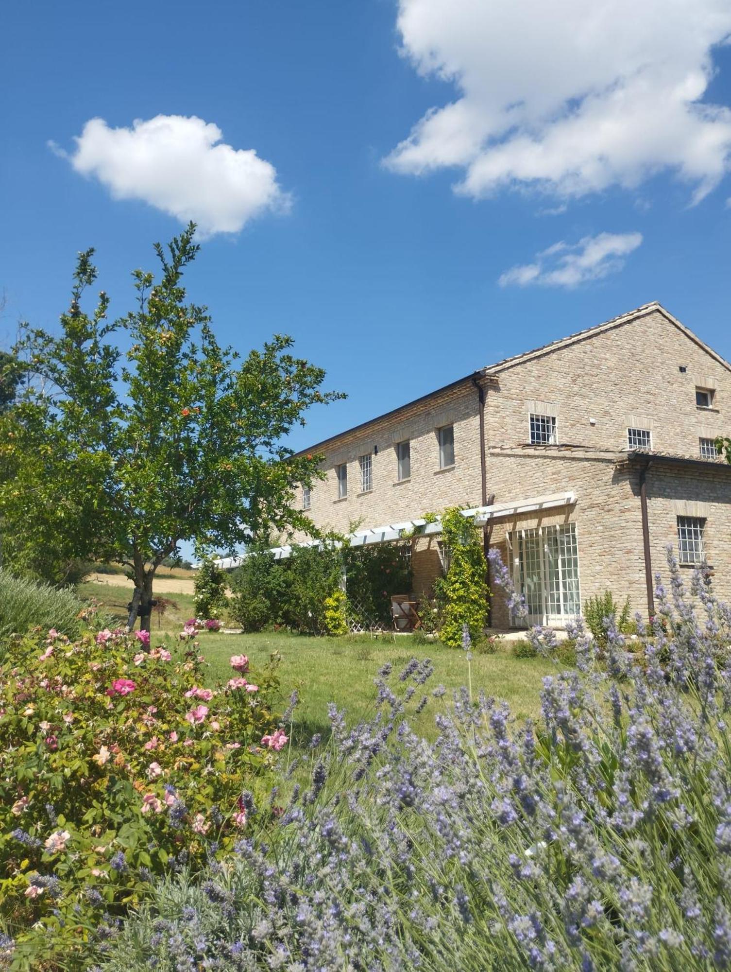 Il Giardino Nella Valle Belvedere Ostrense Zewnętrze zdjęcie